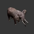 Elephant Game Movie Character with Large Ears Long Trunk and White Tusks