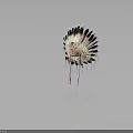 Traditional Feather Headdress With Black White Feathers Colorful Beadwork And Tassels
