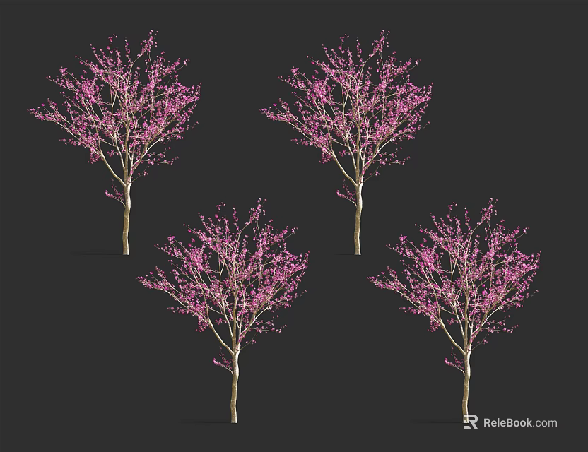 Four Pink Flowering Trees With Delicate Blossoms For Garden Landscape Decoration 3d model 