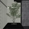 Small view of modern tree courtyard 3d model