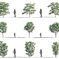 Arbor Trees With Different Shapes Sizes And Human Figures For Proportion Comparison 3d model