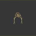 Detailed Animal Skeleton 3D Model With Anatomical Structure On Dark Background 3d model