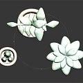 Indoor Decorative Potted Plants With Green Leaf Succulent Cactus In Terracotta Pots