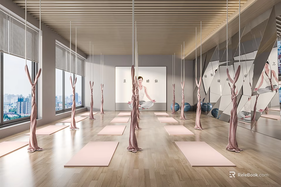 Bright Yoga Studio With Pink Hammocks Wooden Floors Yoga Mats Windows And Person Practicing Yoga 3d model 