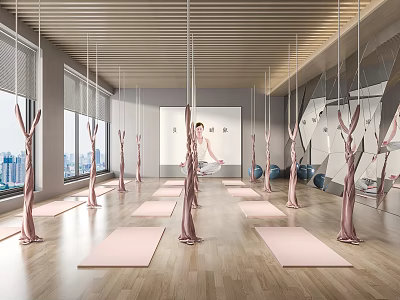 Bright Yoga Studio With Pink Hammocks Wooden Floors Yoga Mats Windows And Person Practicing Yoga 3d model