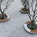 Modern Tree Planters With Wooden Benches Pebbles And Green Plants On Square Tiles