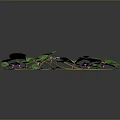 Green Trailing Vine Plant with Large Leaves and Purple Flowers Growing on Dark Background