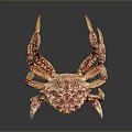 Vibrant Spotted Crab With Large Claws And Colorful Shell On Dark Surface