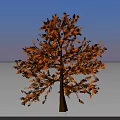Arbor With Orange Leaves Standing Tall On Light Ground Under Blue Sky