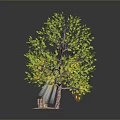 Green Leafy Tree with Brown Trunk and Pink Ground Base 3d model
