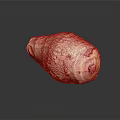 Fresh Whole Taro Root With Natural Brown Skin And Smooth Surface