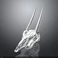 White Animal Skull With Long Curved Horns And Natural Hair Texture On Dark Reflective Background