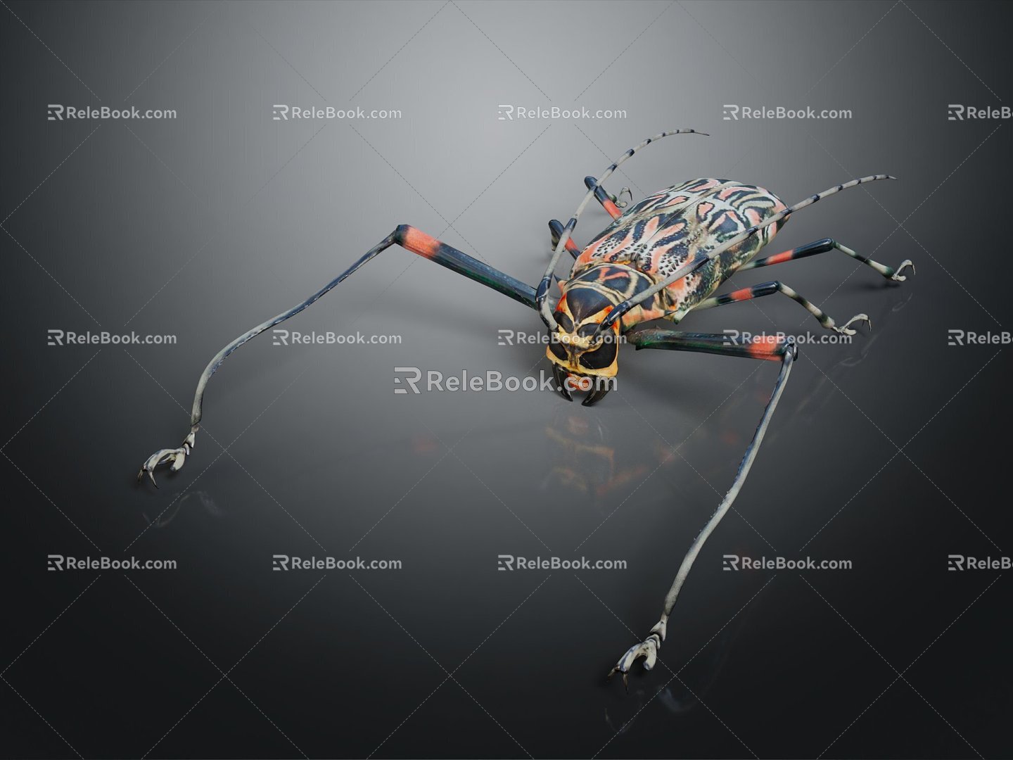 Modern long-arm beetle beetle 3d model