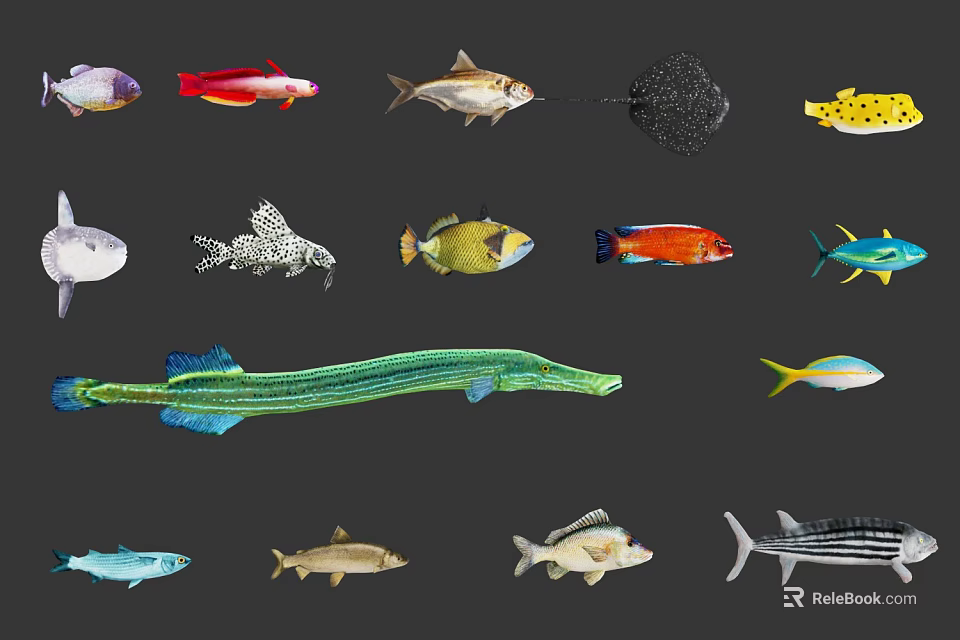 Colorful Aquatic Animals Featuring Various Fish And Marine Creature Types 3d model 