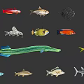 Colorful Aquatic Animals Featuring Various Fish And Marine Creature Types