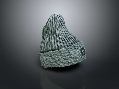 Gray Knitted Beanie Hat With Ribbed Pattern And Small Brand Label Detail 3d model
