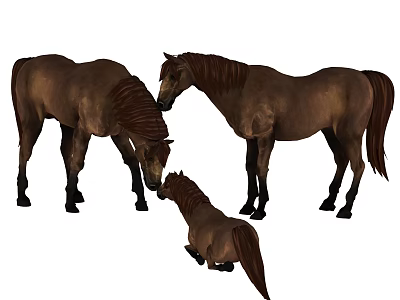 Group Of Three Brown Horses With Adult And Young Foal Standing Together 3d model