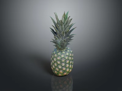 Fresh Ripe Pineapple Featuring Green Leaf Crown and Textured Skin on Dark Reflective Surface 3d model