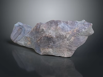 Natural Wood Stone With Unique Texture And Raw Decorative Material 3d model