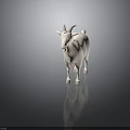 Realistic White Goat 3D Model Standing on Dark Background with Reflection 3d model