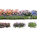 Colorful Mixed Flower Beds With Orange Pink Purple And Blue Blooms In Garden