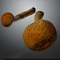 Orange Textured Mushrooms With Spotted Caps And Stems On Dark Background