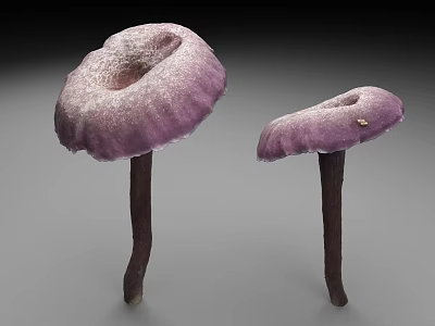 Vibrant Purple Mushrooms with Rounded Caps and Long Dark Stems on Gray Background 3d model