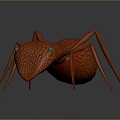 Red Ant 3D Model With Detailed Texture On Gray Background And Reflection