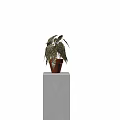 Decorative Bonsai Potted Plant Featuring Green Leaves With White Spots Red Leaves And Brown Pot