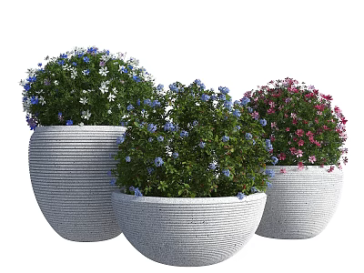 Decorative Bonsai Potted Plants With White Textured Pots And Blue Pink Flowers 3d model