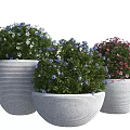 Decorative Bonsai Potted Plants With White Textured Pots And Blue Pink Flowers