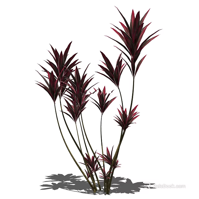 Decorative Shrub with Red and Purple Leaves and Slender Stems for Home Garden Decoration 3d model 
