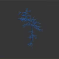 Dry Leafless Tree with Slender Trunk and Fibrous Roots on White Background