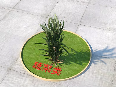 Green Leafy Vegetable Plant On Circular Grassy Patch With Golden Border And Red Sign 3d model