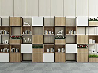 Modern Bookshelf Decorative Cabinet Bookcase Books Green Plant Potted Plant 3d model