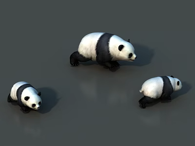 Three Reptile Animals of Different Sizes on Gray Background Surface 3d model