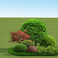 Vibrant Shrubs with Green Red Orange Yellow Foliage in Lawn Garden