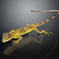 Colorful Yellow Green Lizard With Long Tail On Dark Background With Reflection 3d model