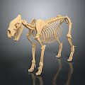 Medical Device Animal Skeleton Teaching Model With 3D Rendered Details For Veterinary Anatomy