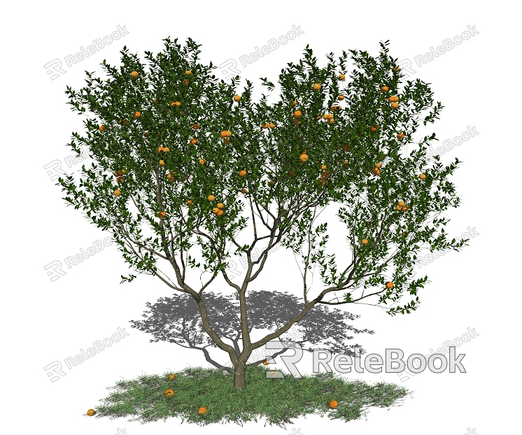 Modern Tree Landscape Tree Orange Fruit Tree Family Landscape Tree model