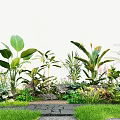 Lush Tropical Plant Combination With Large Leaf Ferns Flowering Plants Stones Pathway And Green Grass
