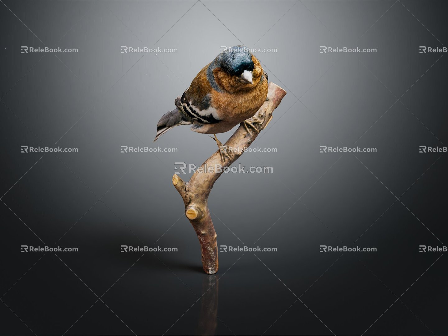 bird bird bird bird game animal cartoon animal animal realistic animal 3d model