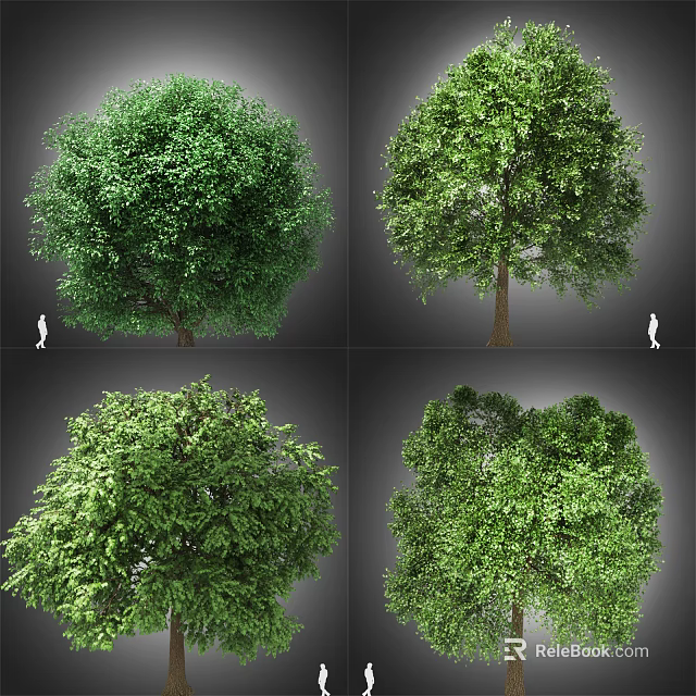 Arbor With Green Leafy Canopy Strong Trunk And Natural Landscape View 3d model 