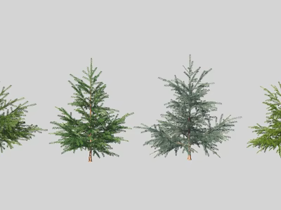 Different Arbor Varieties With Green Foliage And Distinct Shapes Arranged In Line 3d model