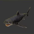 Aquatic Animal Shark 3D Model with Open Mouth and Sharp Teeth on Gray Background 3d model