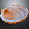 Decorative Shell Shaped Bowl With Orange White Edges Wavy Texture For Home Decor