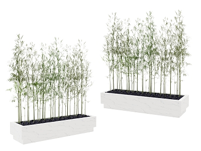 green plant bamboo 3d model