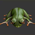 Vibrant Green Frog With Prominent Eyes And Orange Fingers Toes Sitting Pose