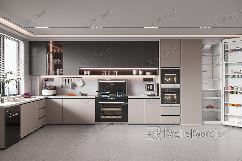 Modern Kitchen model