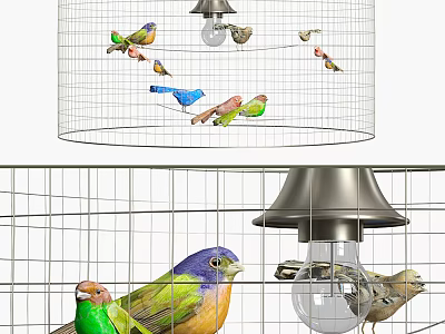 Stylish Wire Mesh Shade Chandelier Adorned With Colorful Birds In Interior 3d model